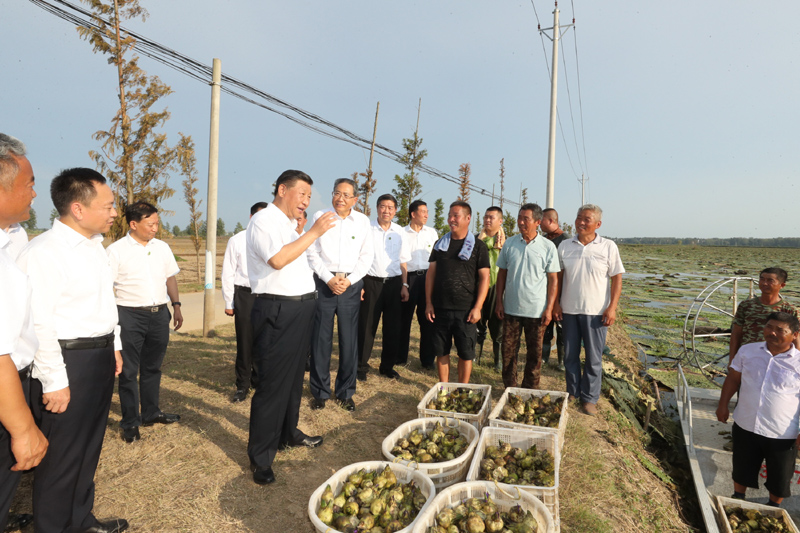 8月18日至21日，中共中央總書記、國家主席、中央軍委主席習(xí)近平在安徽省考察。這是18日下午，習(xí)近平在阜陽市阜南縣蒙洼蓄洪區(qū)，同正在采摘芡實的鄉(xiāng)親們親切交流，了解災(zāi)后生產(chǎn)恢復(fù)情況。